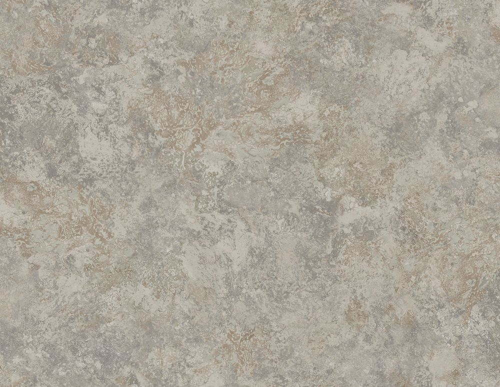 Carl Robinson 17 CR805 – CR80501